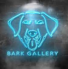 Bark Gallery | Photographer | Vegas Best Awards