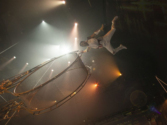 Celestia | Entertainment, Acrobatic Show, New Act/Show | Vegas Best Awards