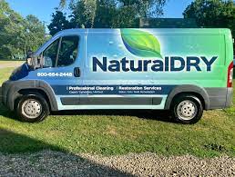 NaturalDry Carpet Cleaning | Home & Garden, Carpet & Flooring Cleaner | Vegas Best Awards