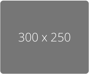300 x 250